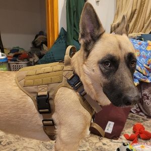 Med - Rabbittgoo tactical training adjustable military buckle vest harne…